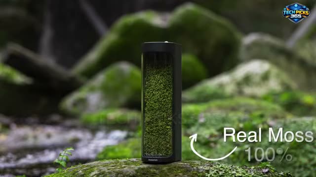Moss Air – Humidifier: